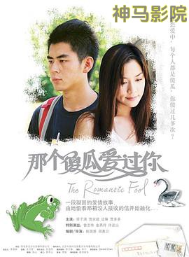 那个傻瓜爱过你粤语