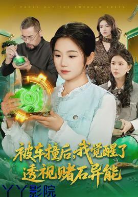 被车撞后，我觉醒了透视赌石异能了