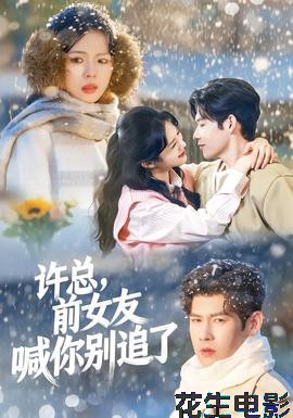 许总，前女友喊你别追了