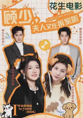 顾少，夫人又在拆家啦