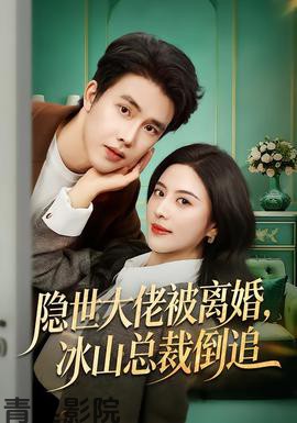 隐世大佬被离婚，冰山总裁倒追