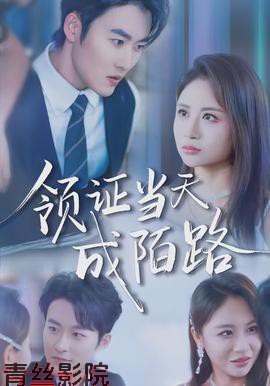 领证当天成陌路