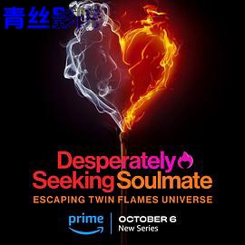 寻找灵魂伴侣：逃离双生火焰宇宙