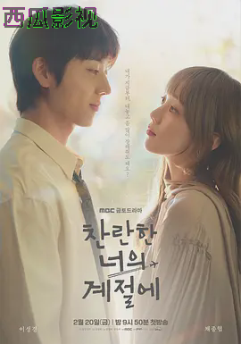 在你的灿烂季节