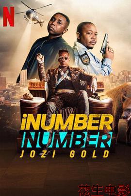 iNumberNumber：约堡黄金大劫案