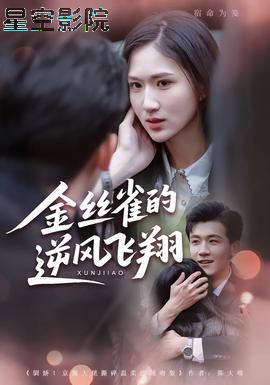 金丝雀的逆风飞翔