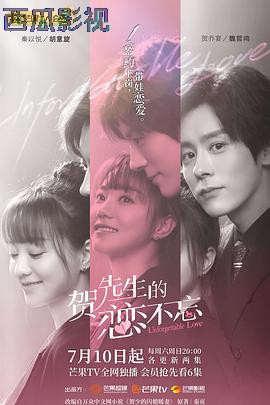 贺先生的恋恋不忘