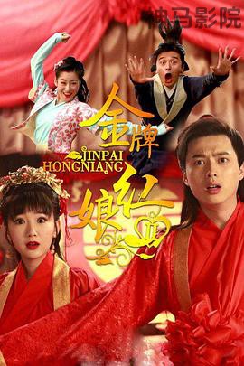 金牌红娘第二部