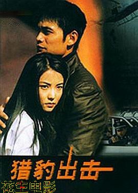 猎豹出击