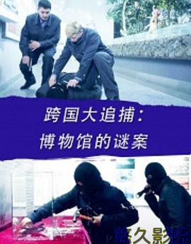 跨国大追捕：博物馆的谜案