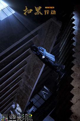 扫黑行动之黄金
