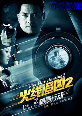 火线追凶2之鹈鹕行动