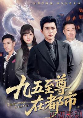 九五至尊在都市