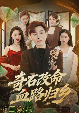 奇石改命血路归乡